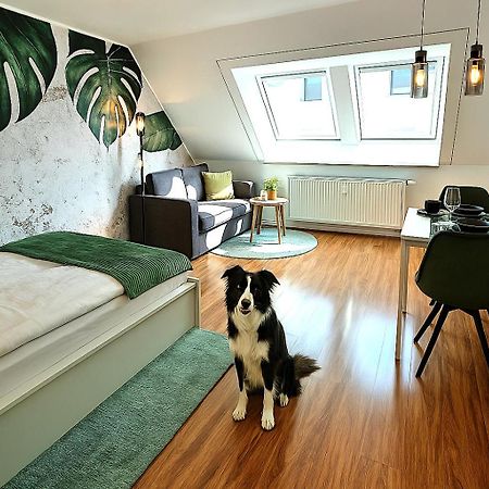 Homely Stay Serenity Greens - Stylisch Studio-Apartment With Kitchen - 10 Min To Central Station, Pet Friendly Münih Dış mekan fotoğraf
